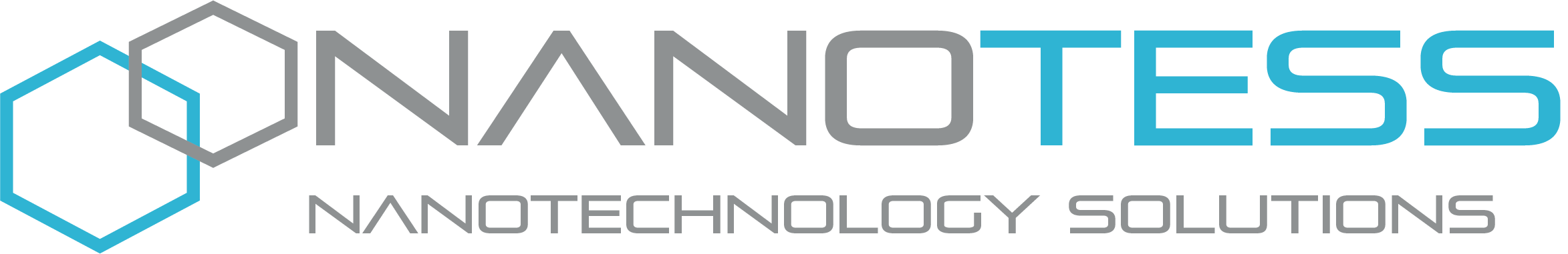 NanoTess logo